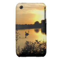 Sunset Swan Lake orange yellow iPhone 3 Cases