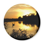 Sunset Swan Lake orange yellow