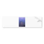 Sunset Swim bumper stickers