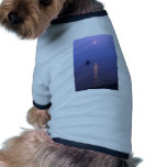 Sunset Swim pet clothing