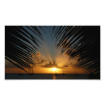 Sunset Through Palm Fronds Photo Print