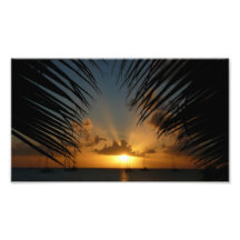 Sunset Through Palm Fronds Photo Print