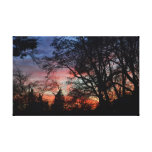 Sunset through the trees stretched canvas prints