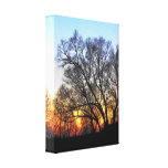 Sunset Through The Trees Gallery Wrapped Canvas