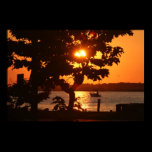 Sunset Through the Trees posters