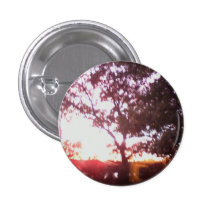 sunset tree buttons