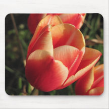 Sunset Tulip Mousemat