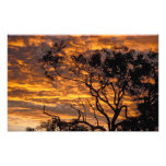 Sunset, Uluru-Kata Tjuta National Park, Photo Art