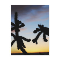 Sunset with Cactus - Blue Post Card