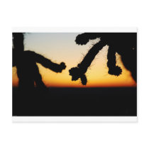 Sunset with Cactus Post Card