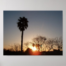 Sunset with palms poster