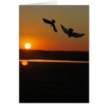 Sunset with the raven and the eagle greeting cards