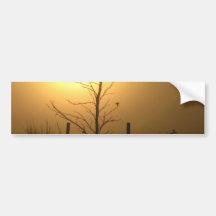 Sunset with Tree Silhouette Bumper Sticker