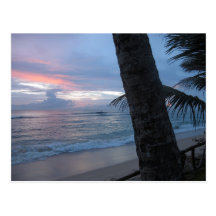 Sunset with tree @ Sri Lanka Wens Kaart