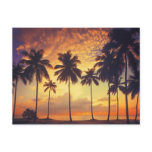 Sunsetpalm Post Cards