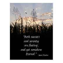 Sunsets and Serenity Postcards