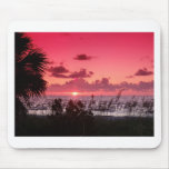 SunSETs In Pink