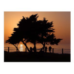 Sunsets La Jolla Postcards