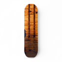 Sunsets Seagulls skateboards