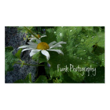 Sunshine After the Rain Business Card