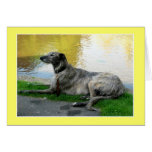 Sunshine card, text inside