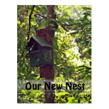 Sunshine Forest Birdhouse Post Card