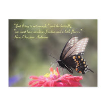 "Sunshine, Freedom, Flower" Butterfly Quote Post Cards