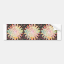 Sunshine -  Lifeforce for the Universe Bumper Sticker