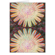 Sunshine -  Lifeforce for the Universe Cards