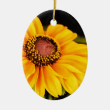 Sunshine on a Stalk Christmas Ornaments