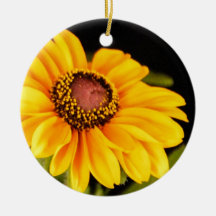 Sunshine on a Stalk Christmas Ornaments