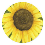 Sunshine On A Stick Sticker