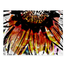 Sunshine . . . post card
