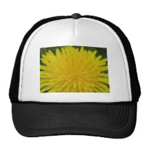 Sunshine Trucker Hats