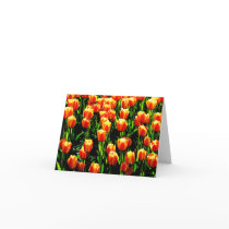 Sunshine Tulips Card