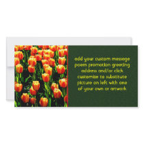 Sunshine Tulips Custom Photo Card