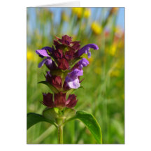 Sunshiny day blossoming flower greeting card