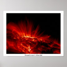 Sunspot Loops in Ultraviolet Poster