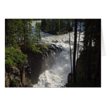 Sunwapta Falls In Jasper National Park Cards