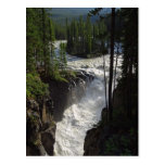 Sunwapta Falls In Jasper National Park Postcards