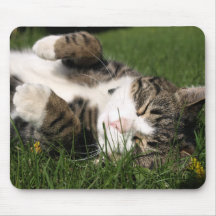 supe cute kitty mousepads