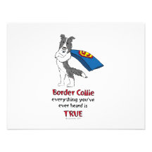 Super Border Collie blue merle Invites