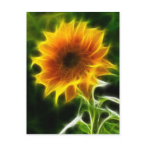 Super Bright Sunflower
