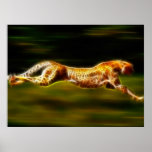 Super Fast Cheetah Hunting His Prey Posters