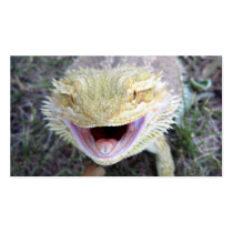 Super Happy Bearded Dragon Business Card Template