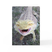 Super Happy Bearded Dragon Cards