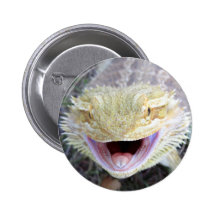 Super Happy Bearded Dragon Pinback Buttons