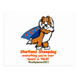 Super sheltie sable postcards