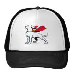 Superdog Krypto Hat