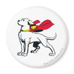 Superdog Krypto Magnet
